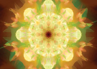 Fantasy Metamorphosis