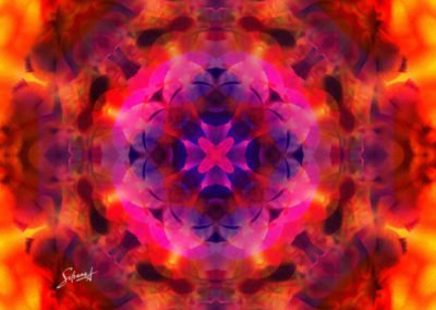 Fantasy Metamorphosis