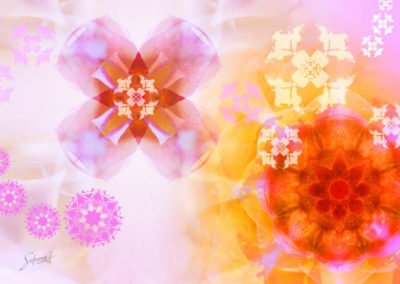 Fantasy Metamorphosis
