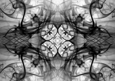 Fantasy Metamorphosis